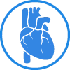 Cardiology icon