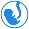 Embryology icon