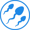 Male Reproductive System icon