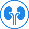 Nephrology icon