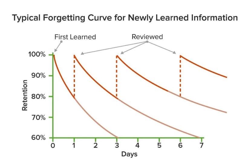Typical forgetting curve for Newly learned information