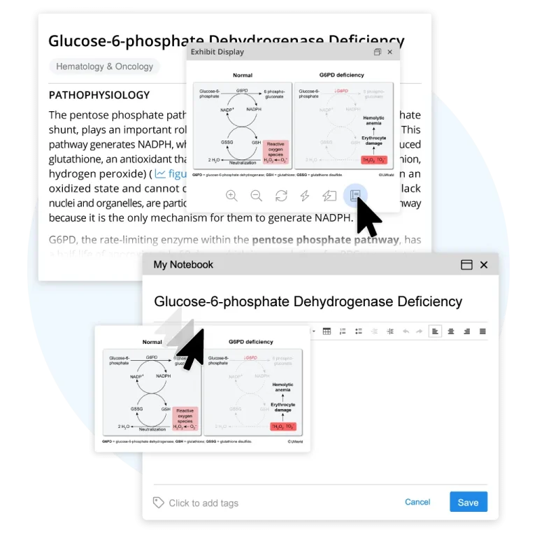 Screen showing saving content to UWorld’s My Notebook