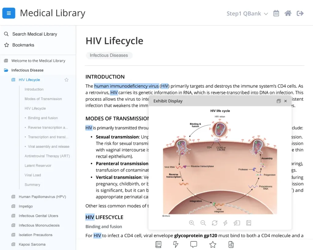 HIV Lifecycle explanation for the UWorld Medical Library